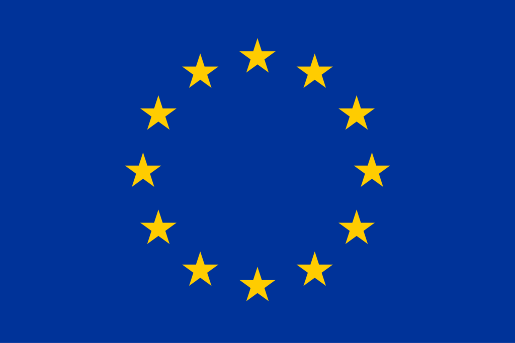 Euro flag